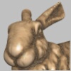 bunny_head_d.jpg